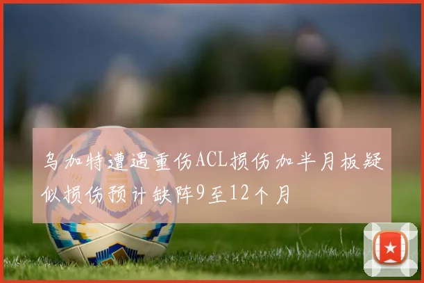 乌加特遭遇重伤ACL损伤加半月板疑似损伤预计缺阵9至12个月