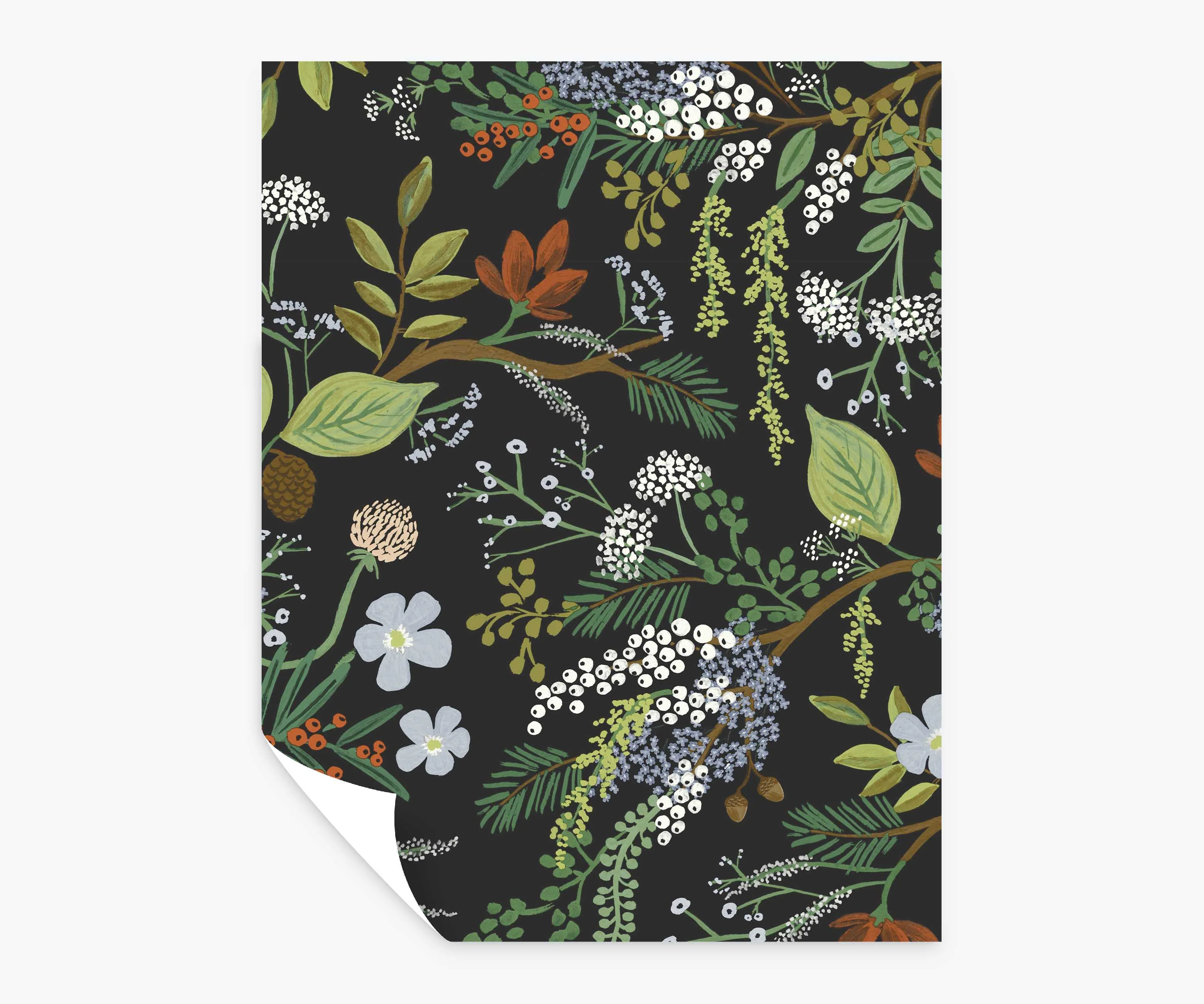 Juniper Forest Peel & Stick Wallpaper Sample - Black