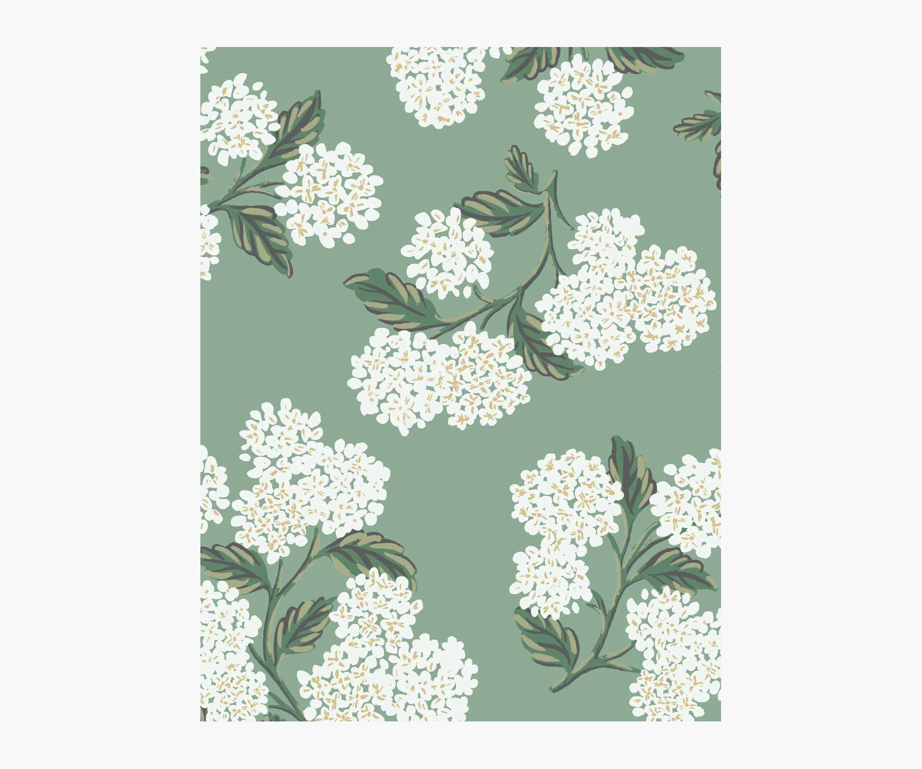 Hydrangea Wallpaper Sample - Jade