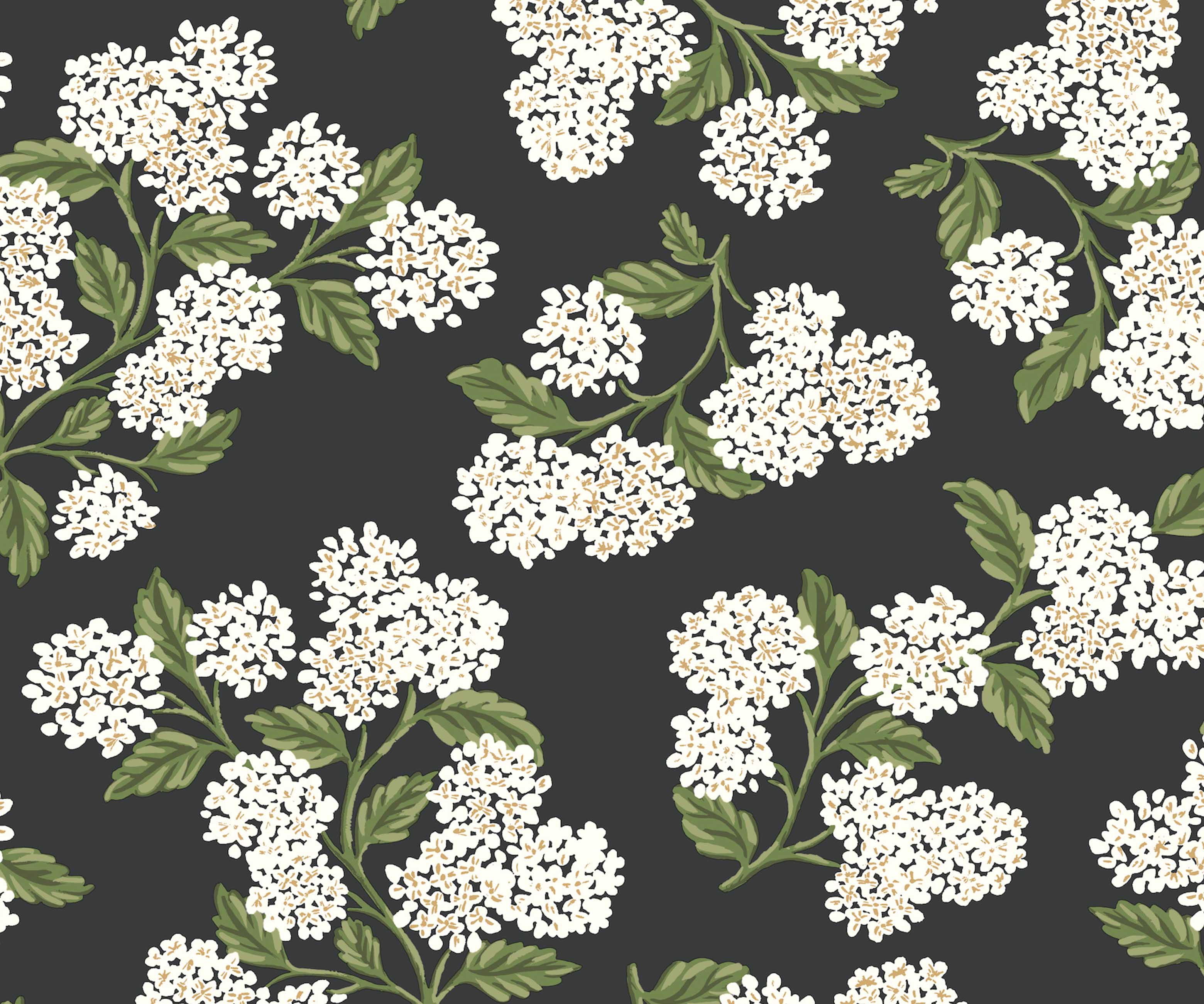 Hydrangea Peel & Stick Wallpaper - Black & White