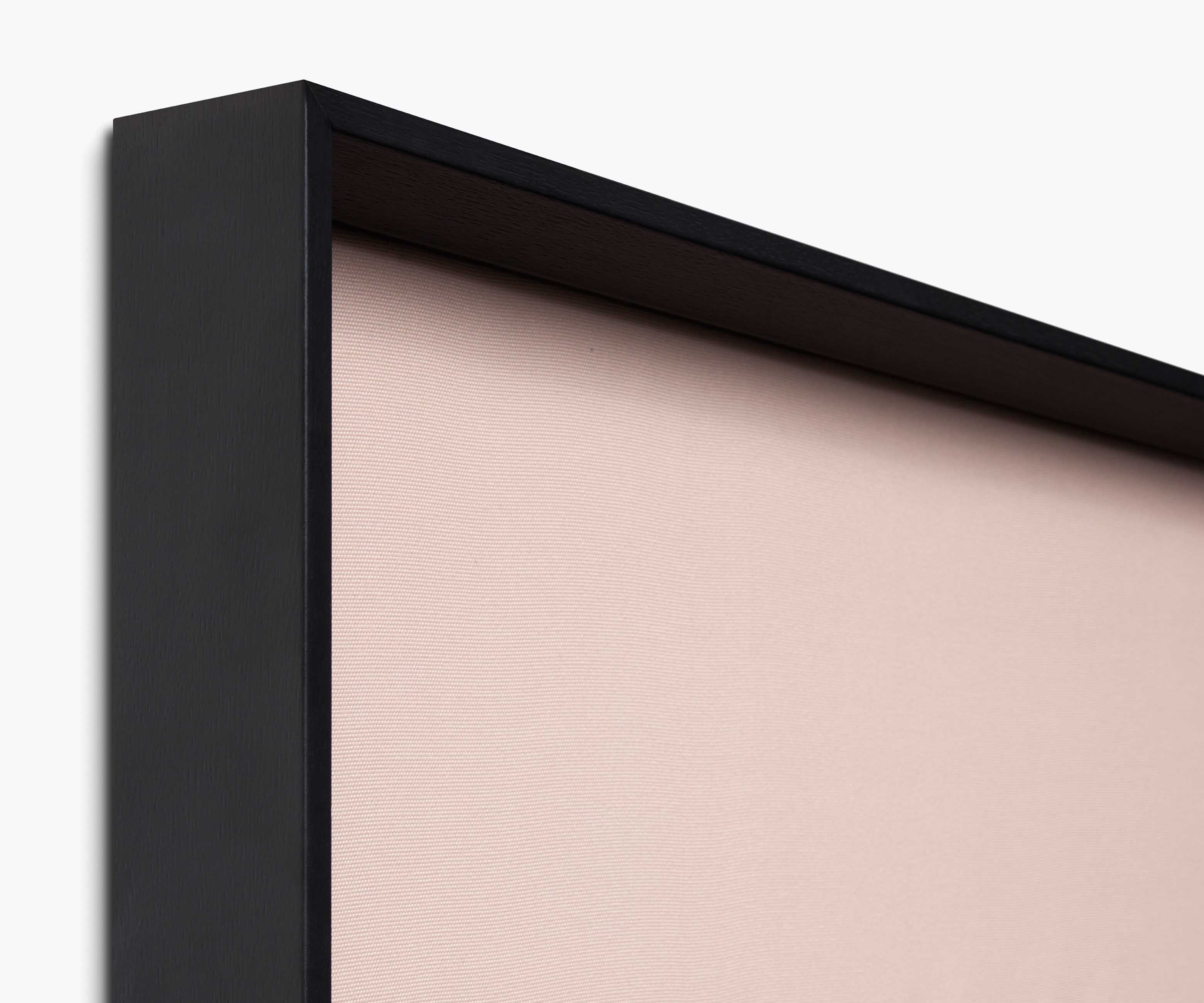 Framed Wall Art - Butterflies