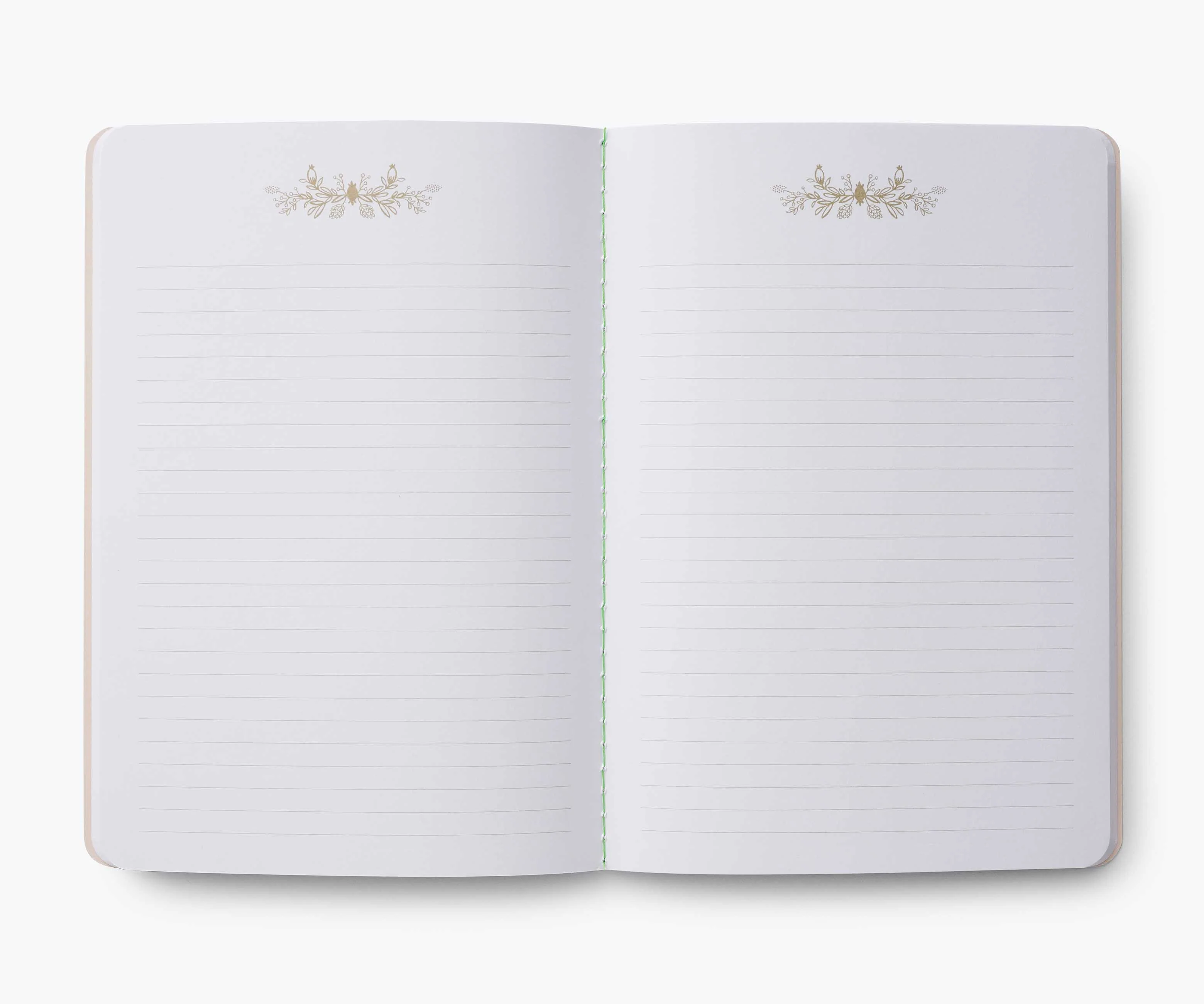 Stitched Notebook Set - Curio