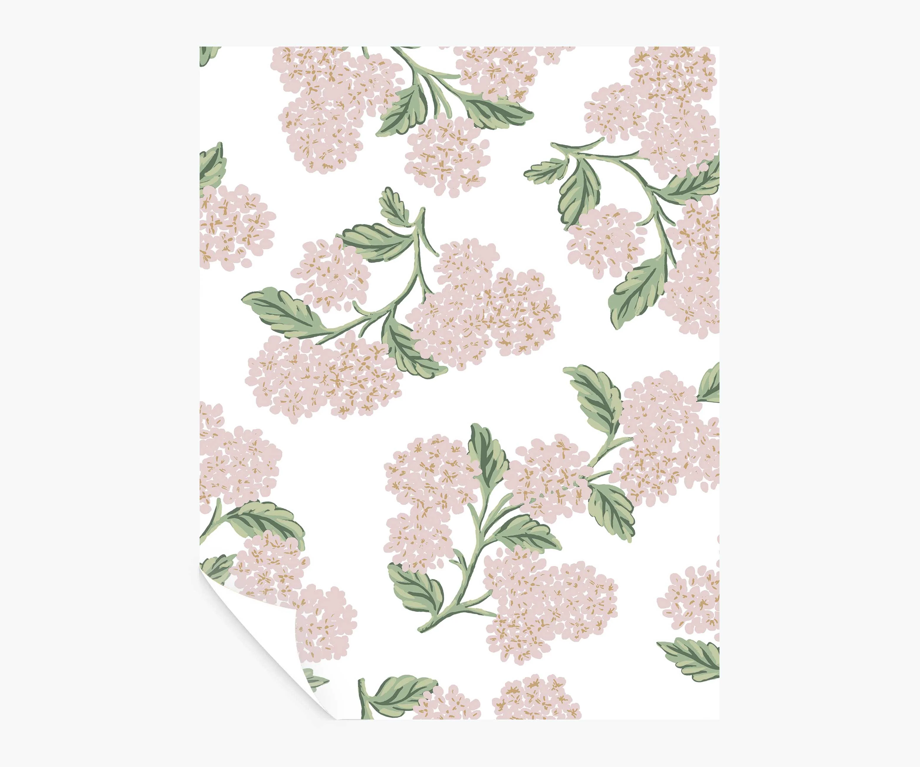 Hydrangea Peel & Stick Wallpaper Sample - Pink & White
