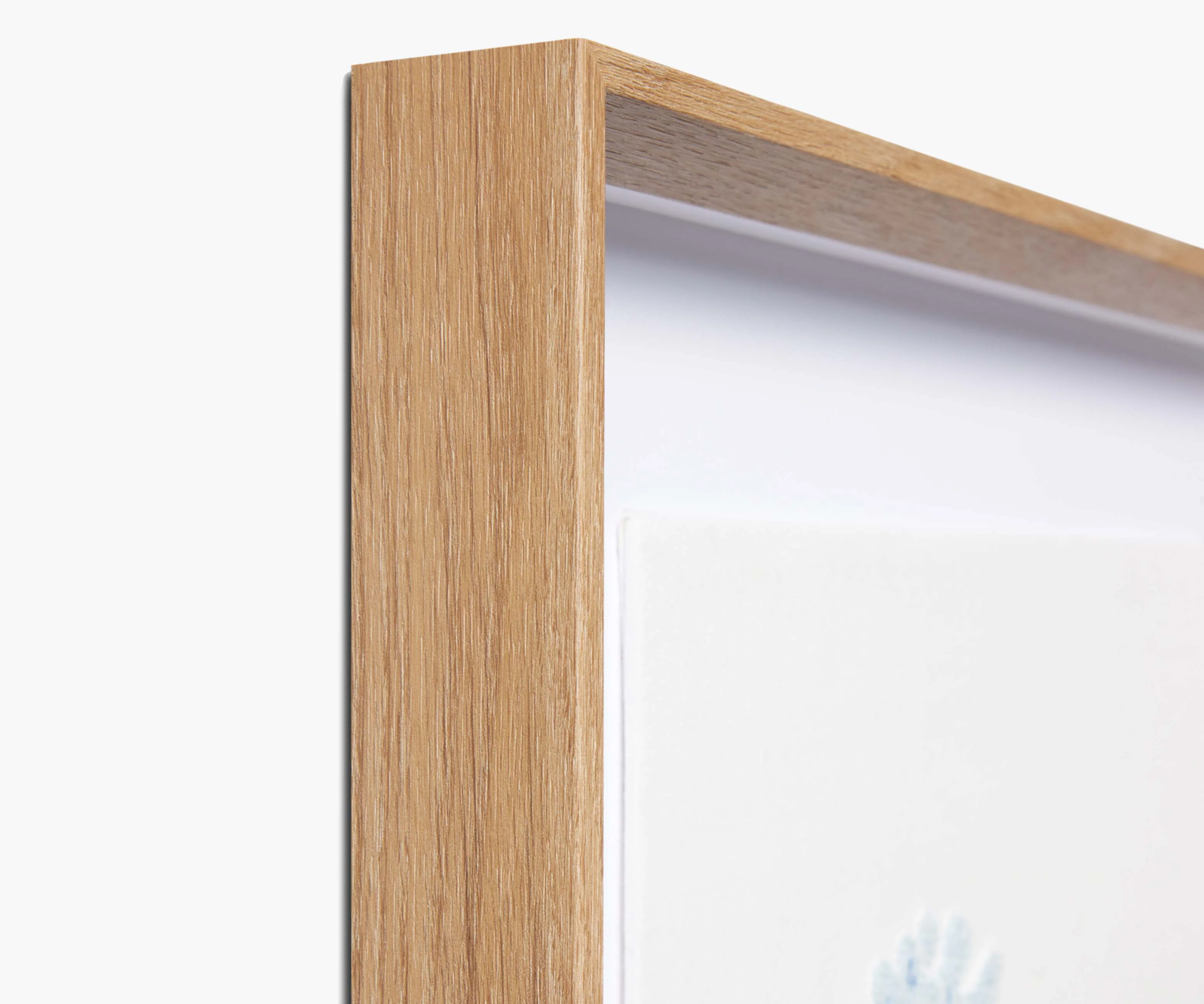 Framed Wall Art - Hydrangea Cream