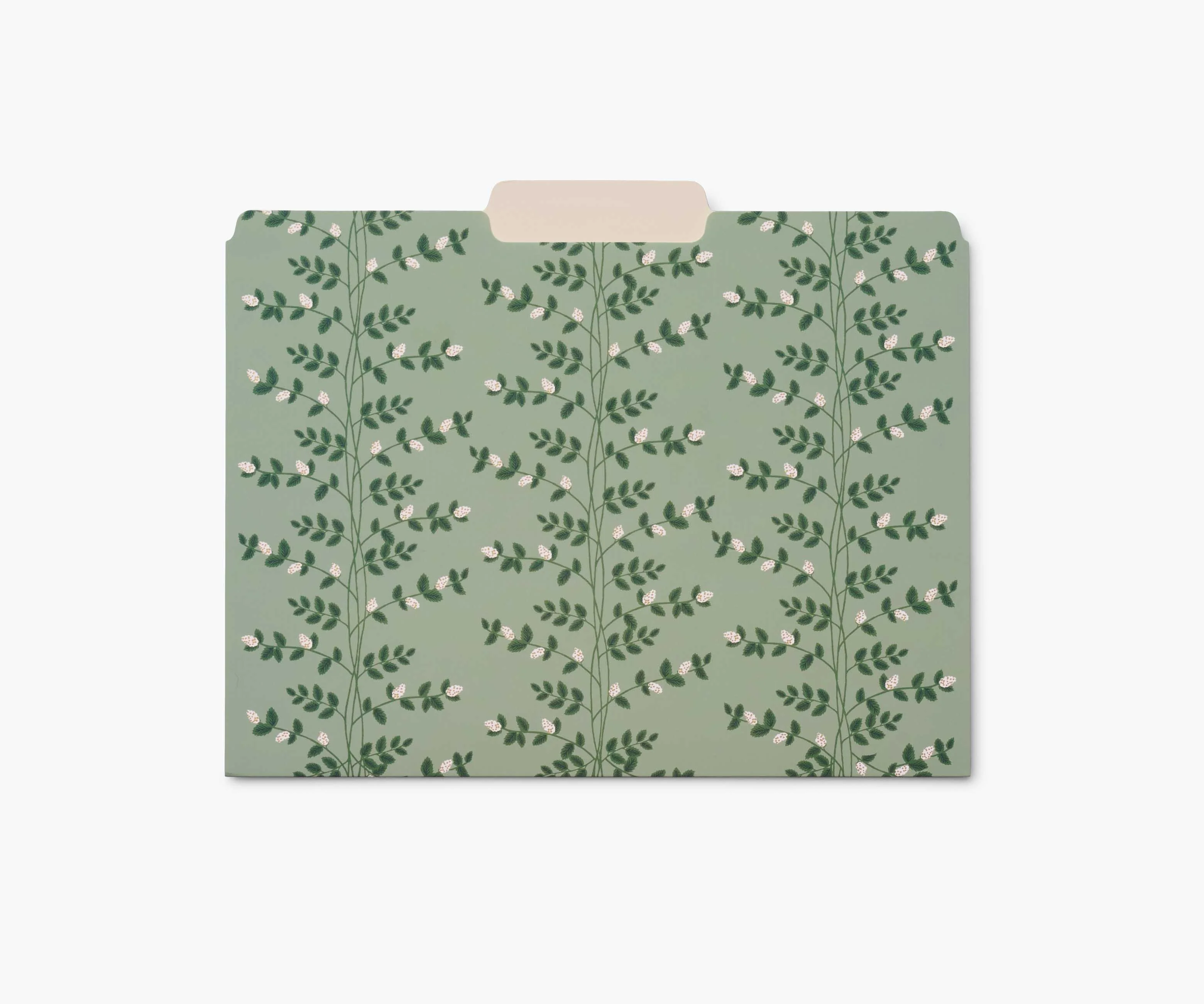 Assorted File Folders - Dahlia